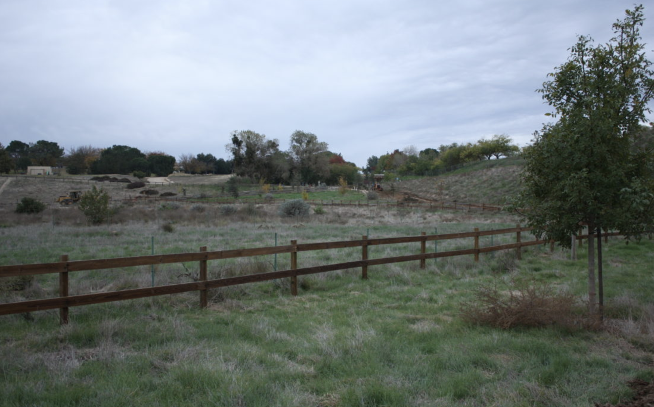 Jensen Ranch Habitat
